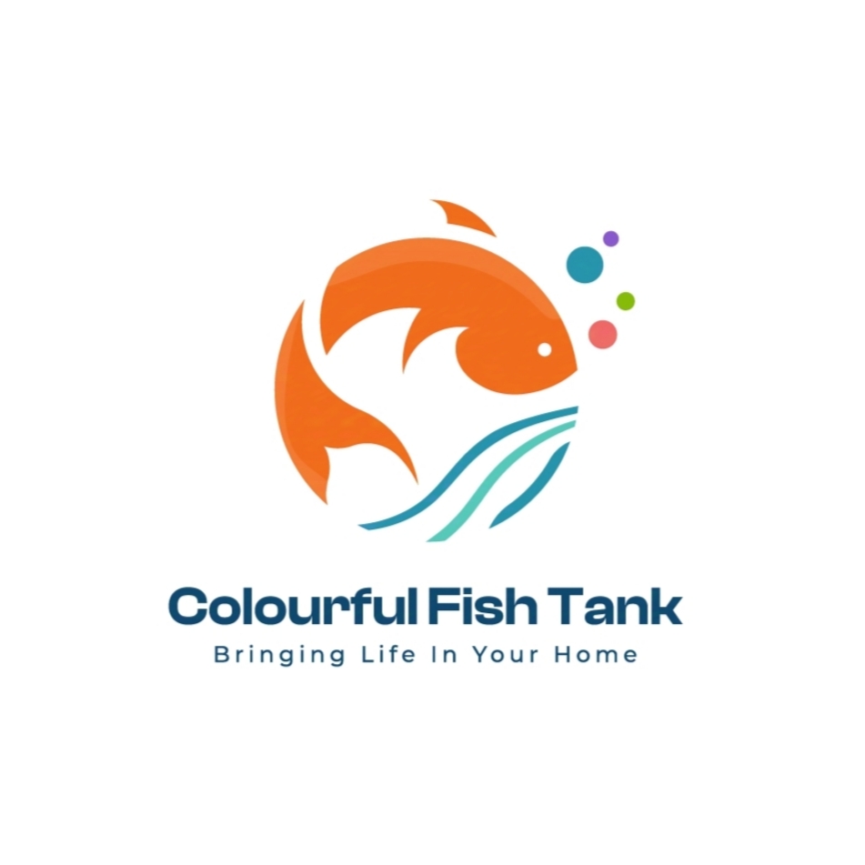 Colourful Fish Tank