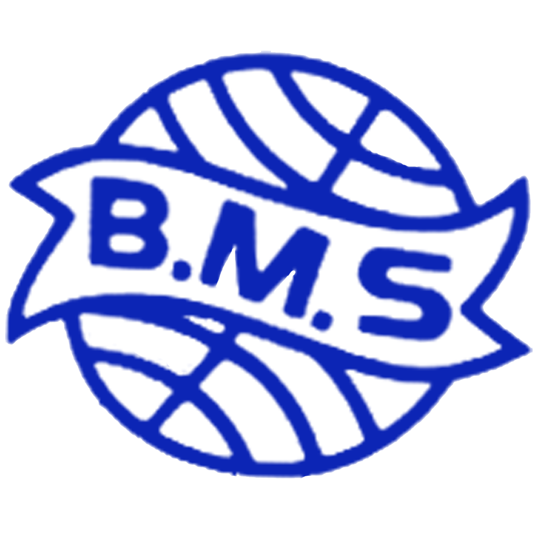Badal Mill Store LTD
