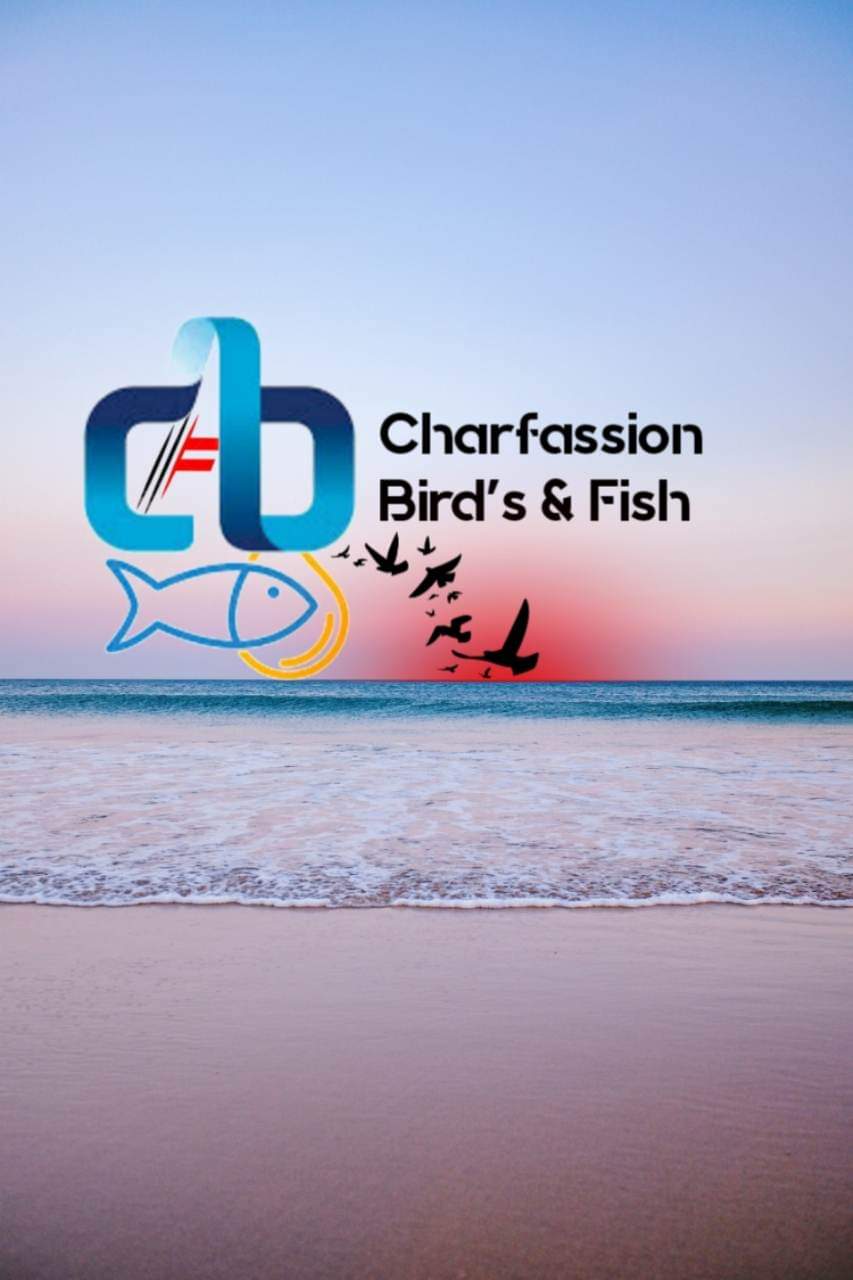 চরফ্যাশন বার্ড'স এন্ড ফিশ,