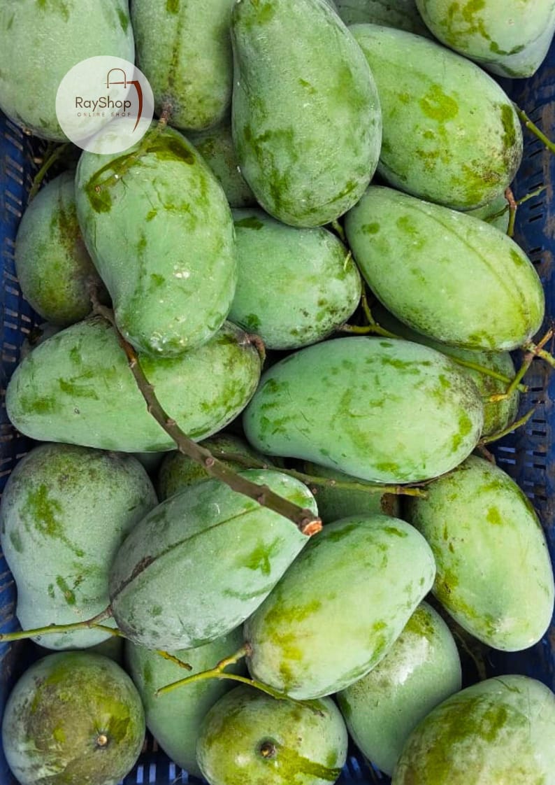 রানী রূপালি