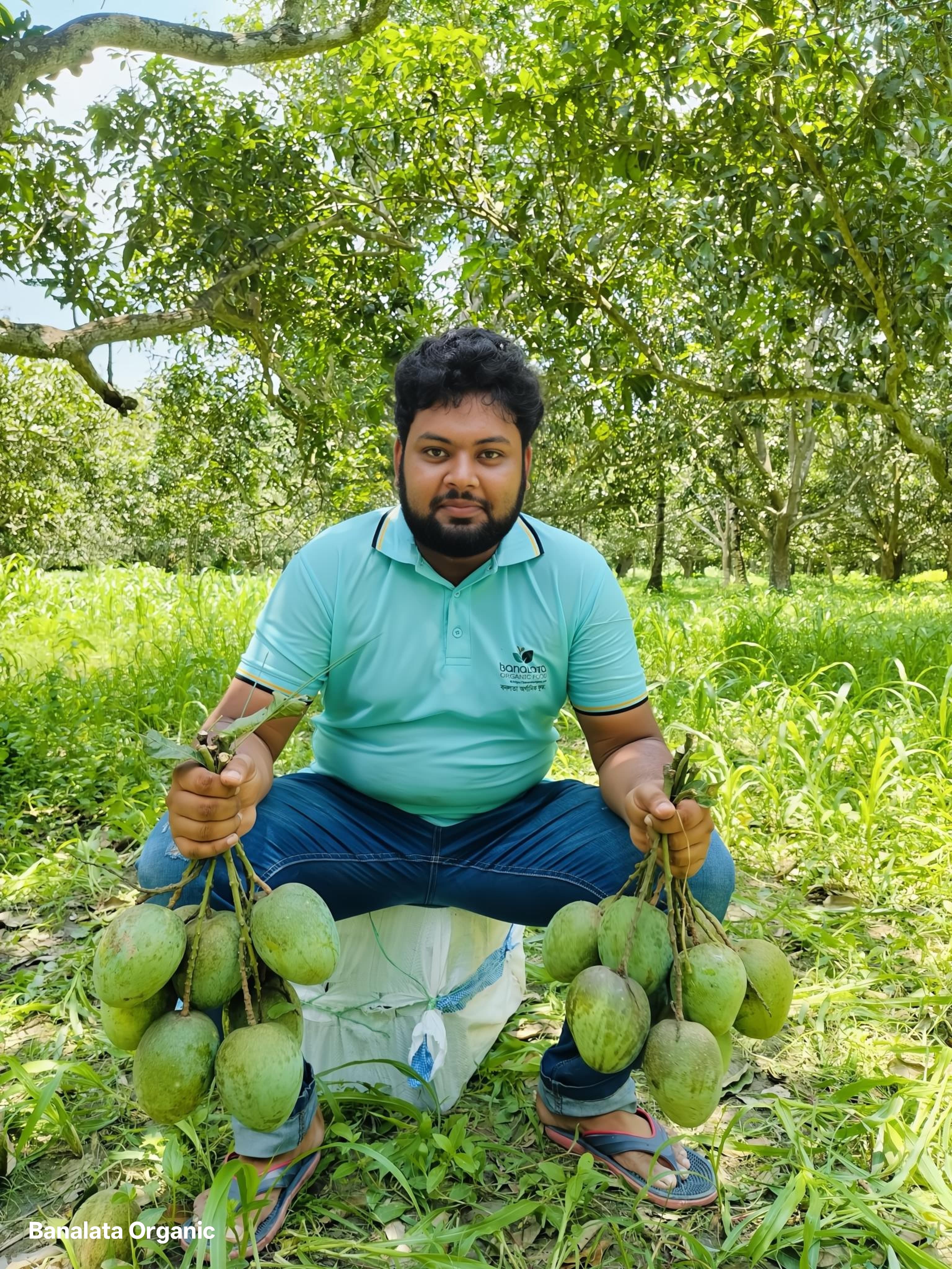 আমের বাগান