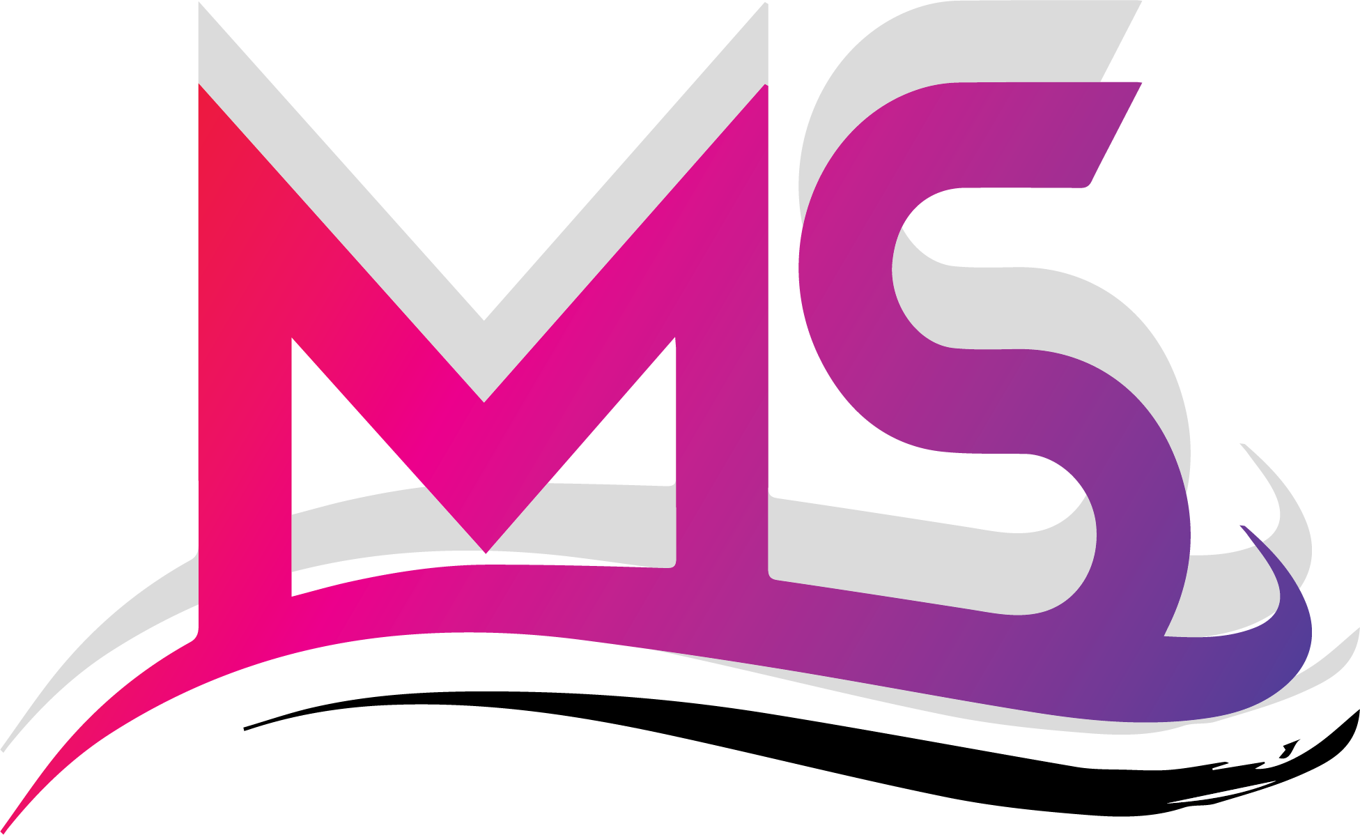 MS MULTI SERVICE NEW YORK